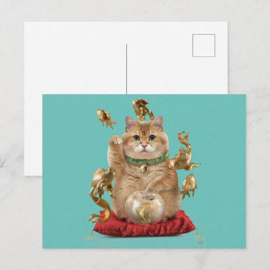 Hosico Maneki-neko Briefkaart (Voorkant / Achterkant)