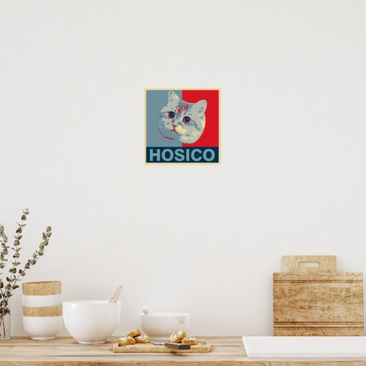Hosico - Red Blue Illustration Poster (Keuken)
