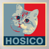 Hosico - Red Blue Illustration Poster (Voorkant)