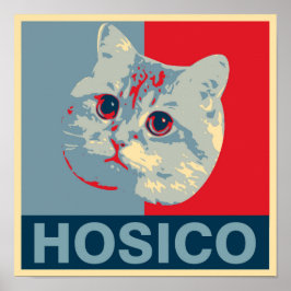 Hosico - Red Blue Illustration Poster