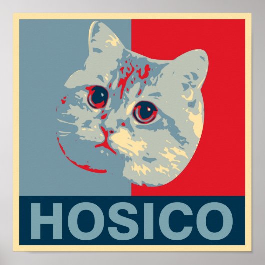 Hosico - Red Blue Illustration Poster (Voorkant)