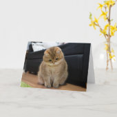 Hosico schattige baby kaart (Gele Bloem)