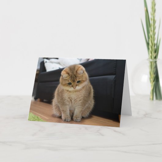 Hosico schattige baby kaart (Voorkant)