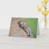 Hosico schattige kat kaart (Gele Bloem)