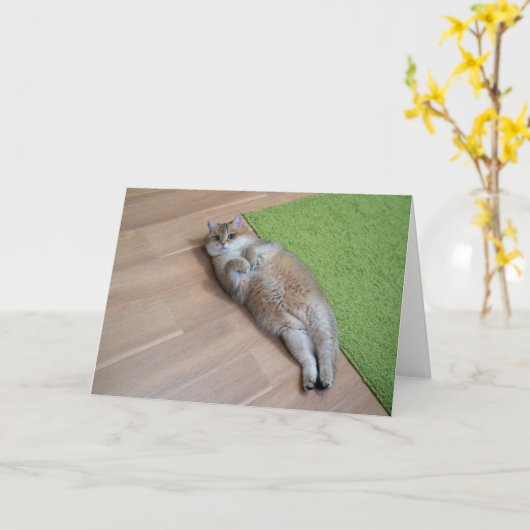 Hosico schattige kat kaart (Gele Bloem)