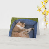 Hosico slaapt kaart (Gele Bloem)