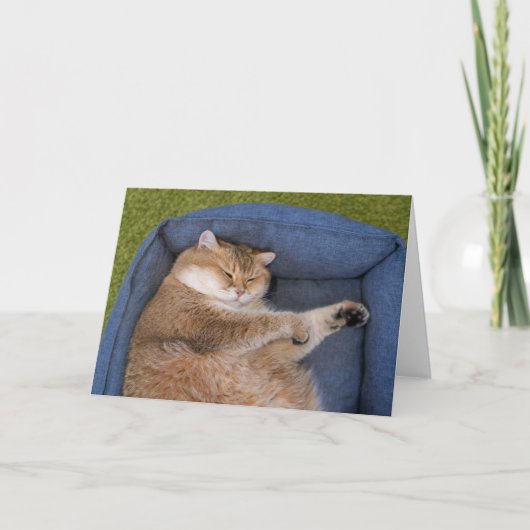 Hosico slaapt kaart (Voorkant)