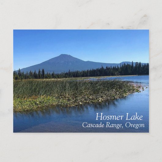 Hosmer Lake in Summer, OR Briefkaart (Voorkant)