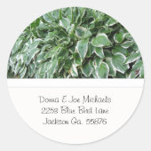 Hosta Adres Stickers (Voorkant)