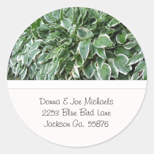 Hosta Adres Stickers (Voorkant)
