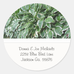 Hosta Adres Stickers