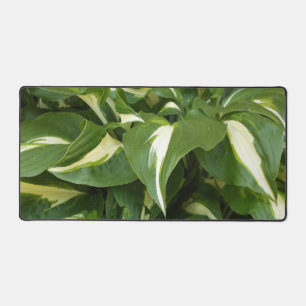 Hosta Bladeren Bureaumat
