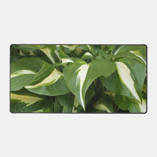Hosta Bladeren Bureaumat (Voorkant)