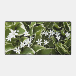 Hosta Bladeren en wit Ornithogalum Floral Bureaumat