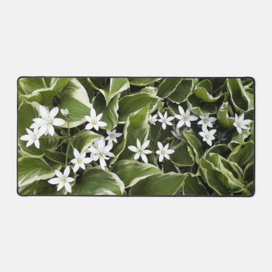 Hosta Bladeren en wit Ornithogalum Floral Bureaumat (Voorkant)