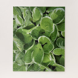 Hosta Bladeren Legpuzzel