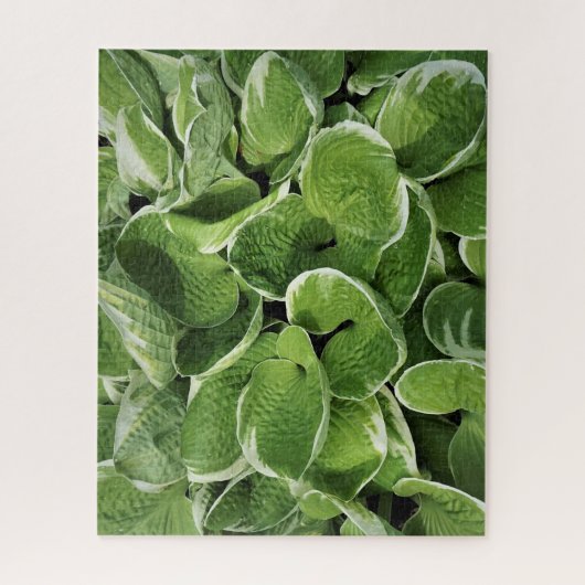 Hosta Bladeren Legpuzzel (Verticaal)