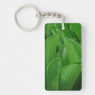 Hosta Bladeren Met Regendruppels Acryl Sleutelhang Sleutelhanger