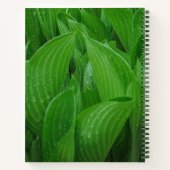 Hosta bladeren met regendruppels tuin Notitieboek (Achterkant)