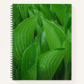 Hosta bladeren met regendruppels tuin Notitieboek (Voorkant)