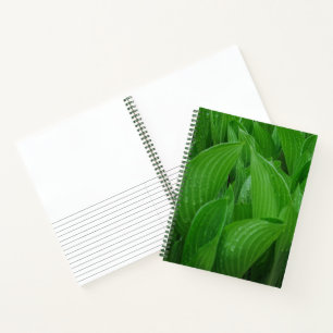 Hosta bladeren met regendruppels tuin Notitieboek