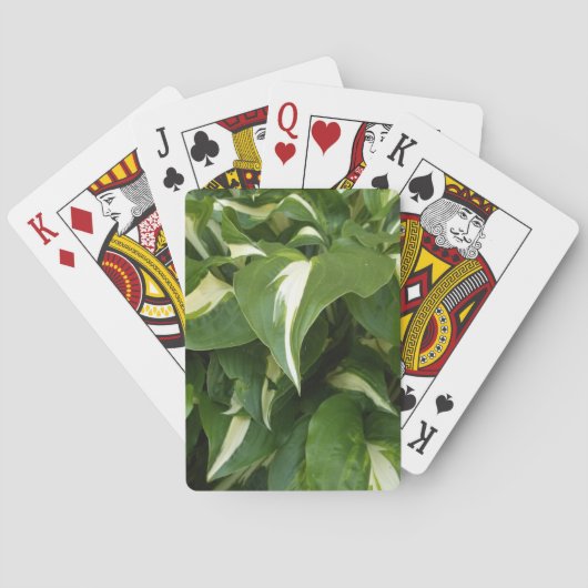 Hosta Bladeren Pokerkaarten (Achterkant)