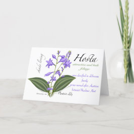 Hosta Blank Kaart