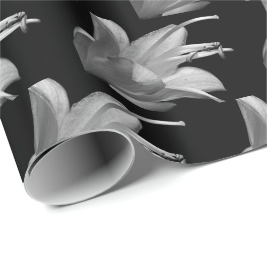 Hosta Bloem in zwart-wit Cadeaupapier (Rol Hoek)
