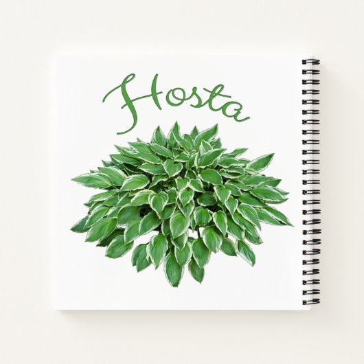 Hosta Design Square Spiral notebook Notitieboek (Achterkant)