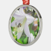 Hosta en een insect metalen ornament (Links)