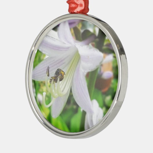 Hosta en een insect metalen ornament (Links)