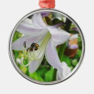 Hosta en een insect metalen ornament