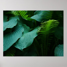 Hosta en Fern Poster
