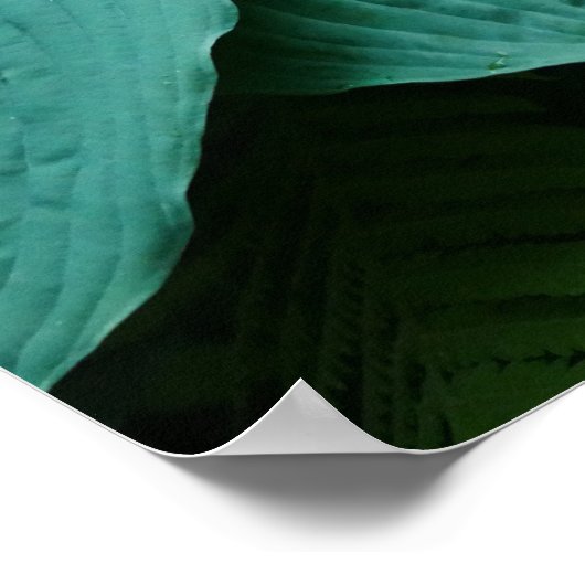 Hosta en Fern Poster (Hoek)