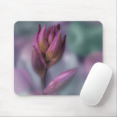 Hosta Flower Bud Paars and Green Muismat (Met muis)