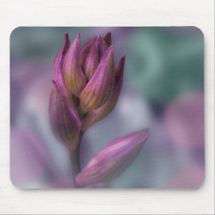 Hosta Flower Bud Paars and Green Muismat