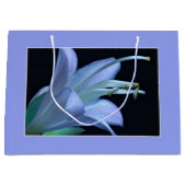 Hosta Flower, Elegant Solo Portret Foto Groot Cadeauzakje (Voorkant)