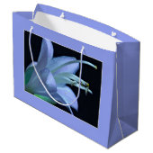 Hosta Flower, Elegant Solo Portret Foto Groot Cadeauzakje (Achterkant Gekanteld)