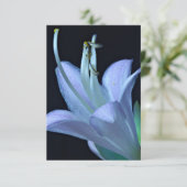 Hosta Flower  Paarse en Blauwe Classic Bloemen (Staand voorkant)