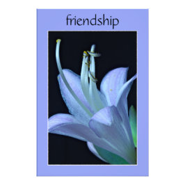 Hosta Flower Paarse Vriendschap Fotoprint Foto Afdruk