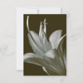 Hosta Flower Photography, Elegante  Sepia (Voorkant)