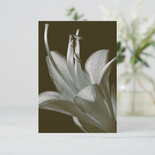 Hosta Flower Photography, Elegante  Sepia (Staand voorkant)
