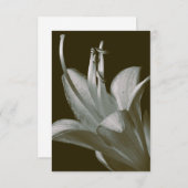 Hosta Flower Photography, Elegante  Sepia (Voorkant / Achterkant)