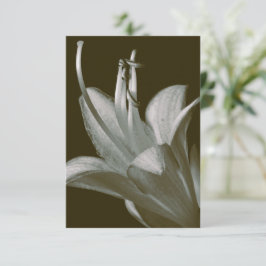 Hosta Flower Photography, Elegante Sepia