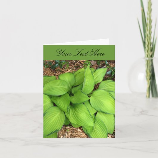 Hosta Groene Bladeren Wenskaart Kaart (Voorkant)