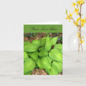 Hosta Groene Bladeren Wenskaart Kaart (Gele Bloem)