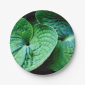 Hosta Hart Papieren Bordje (Voorkant)