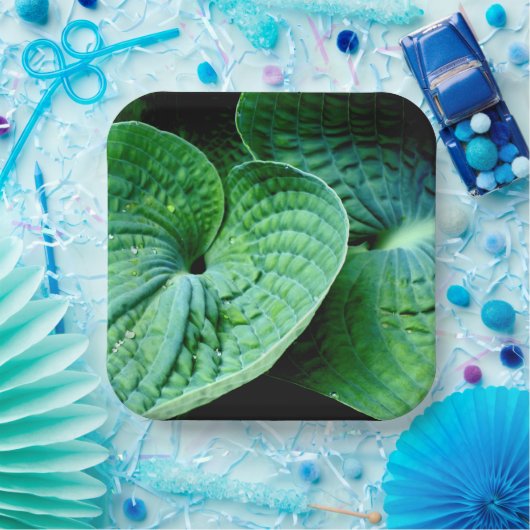 Hosta Heart Papieren Bordje (Feest)