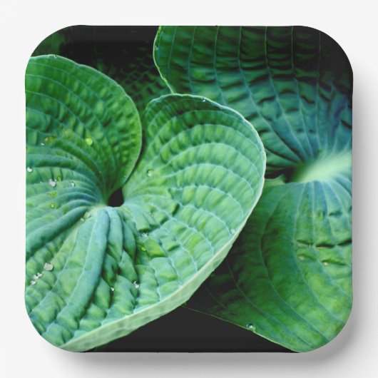 Hosta Heart Papieren Bordje (Voorkant)