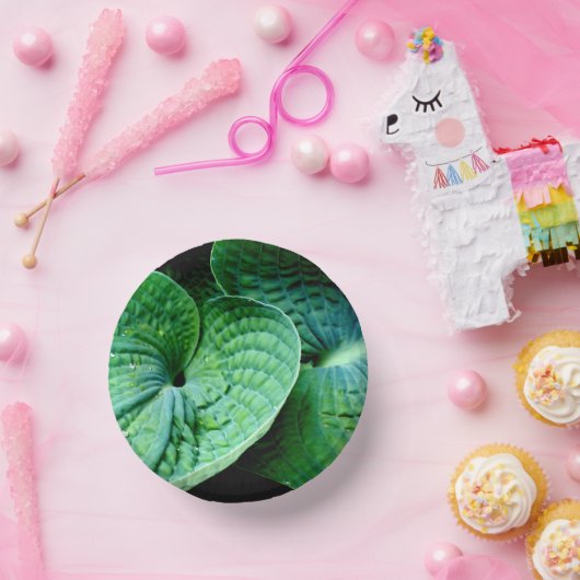 Hosta Heart Papieren Kommen (Feest)